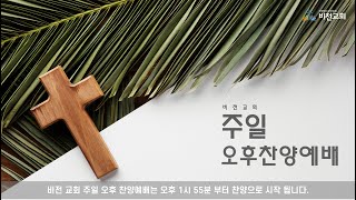 [ 2025.2.16 (주일) 비전교회 주일 오후 찬양 예배 ]