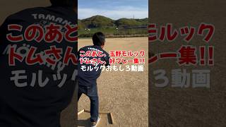 【モルックおもしろ動画】このあと、玉野モルックのトムさん好プレー集‼︎(笑) #モルック #おもしろ動画 #shorts #molkky #mölkky