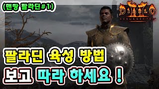 래더 7기 노거래 맨땅 팔라딘 육성 방법 보고 따라 하세요 정말 쉽습니다 !! 【맨땅 팔라딘#1】