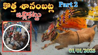 Kotha Sanambatla 🐂 Jallikattu | 1/1/2025 కొత్త శానంబట్ల జల్లికట్టు | Part 2 Telugu Jallikattu 2025 🤩