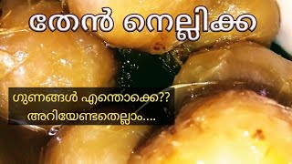 തേനുറും തേൻ നെല്ലിക്ക. അറിയേണ്ട ഗുണങ്ങൾ.... ഉണ്ടാക്കുന്നതെങ്ങനെ??...