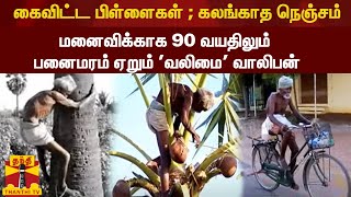 கைவிட்ட பிள்ளைகள்; கலங்காத நெஞ்சம் - மனைவிக்காக 90 வயதிலும் பனைமரம் ஏறும் 'வலிமை' வாலிபன்