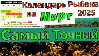 Лунный календарь клева рыбы на Март 2025 года