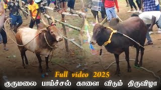 குருமலை பாய்ச்சல் காளை விடும் திருவிழா 2025 Full video || #jallikattulover #teamPKofficial #vellore