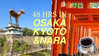 exploring nara park, osaka castle \u0026 fushimi inari 🦌⛩️🍊