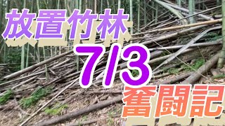 放置竹林奮闘記【サラリーマンが竹を切る日々】2023/7/3