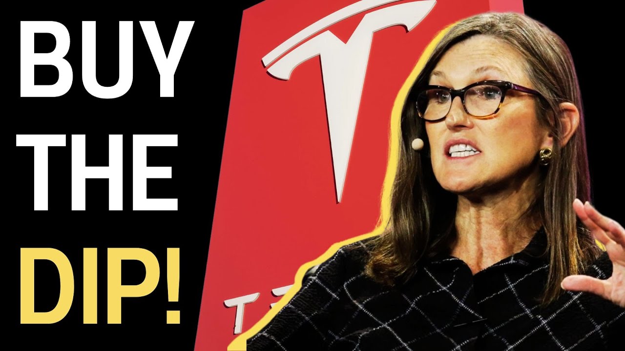 Cathie Wood's $29 Million Bet On Tesla Stock, But Should You? Tesla ...