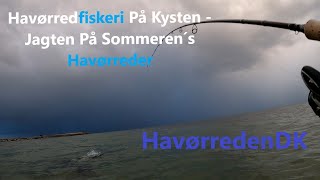 Havørredfiskeri På Kysten | Jagten På Sommerens Havørreder.