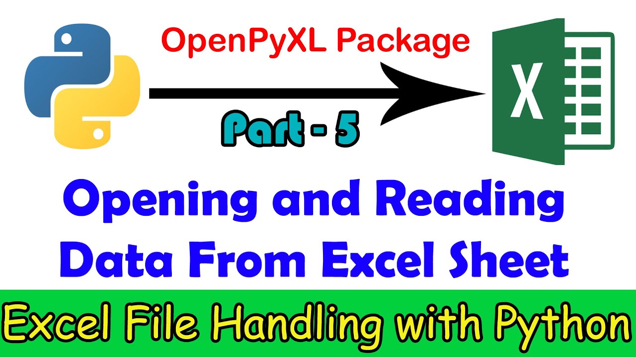 5 Opening And Reading Excel Files Using Python Openpyxl Tutorial In