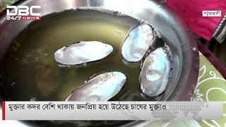 মুক্তা চাষে সফলতায় দুই যুবক