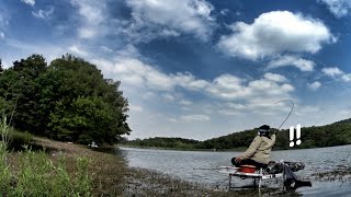 The point where the big carp appears, the picture is killer...!