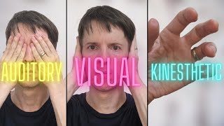 Why Do We Still Believe in Learning Styles?