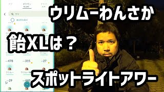 【ポケモンGO】ウリムーのスポットライトアワー、1時間で飴XLはどれぐらい？