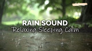 Rain Sounds For Relaxing Sleeping Calm 2021