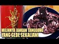 Bikin Ngiler! Lobster dan Gurita Sambal Terasi | RAGAM INDONESIA (20/02/20)