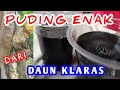 Puding enak lembut dari daun klaras