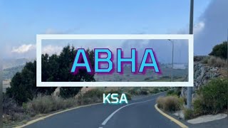 ABHA: The Bride of Mountain, The City of Fog, The Heart of Asir Region (Saudi Arabia Jacaranda Tree)