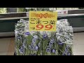 小牧市　スーパー　ラピオ　アルバイト募集 野菜