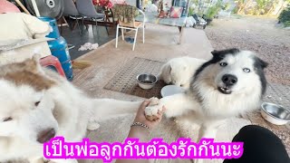 เป็นพ่อลูกกันต้องรักกันนะ | ข้าวเหนียว ขี้กระโปกหมา