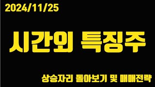 2024/11/25 시간외 특징주!! [셀바스AI][셀바스헬스케어][케이씨에스][엑스게이트][대동][대동금속][대동기어][TYM][한미글로벌][희림][율촌][닷밀][마음AI]