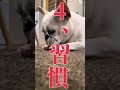 犬の足ぺろってそんな理由があったの！？