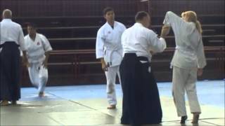 Seminario Robert Zimmermann Shihan-Parte I