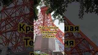 Красивейшая Телебашня в Токио. Tokyo TV Tower. #travel #japan #tokyo #tower #tv #walk #walking