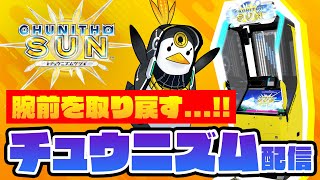 【チュウニズム】6年前の腕前を取り戻したいので真剣に取り組もうと思っているチュウニ配信【音ゲー / CHUNITHM / DOLCE.】