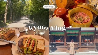 【京都vlog】京都を楽しみ尽くす🫶🏻河合神社 : カフェ巡り : miffy kitchen 🐰 : nintendo kyoto 💚