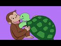 curious george loves turtles how to draw and color kids learn colors