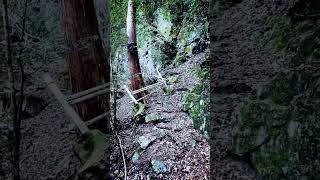 天龍天大神⛩️を求めて(ゆっくりバージョンは、本編を見てく下さいませ)龍神✨強力パワースポット巡り✨Nara Japan Travel Movie 奈良県 川上村 蜻蛉の滝 聖天岩屋 白蛇窟