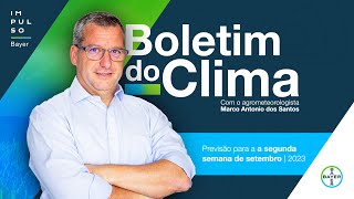 Qual é a chance de chuvas regulares? | Boletim do Clima