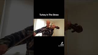 Turkey In The Straw (Trad) played by Derek Wilson.   A very requested fiddle tune.