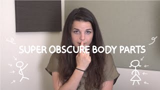 Weekly English Words with Alisha - Super Obscure Body Parts