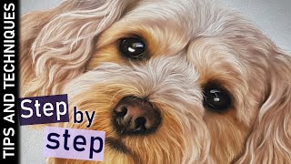 How to draw fur in pastels | Step by step tutorial
