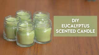 DIY Eucalyptus Candle | How To Use Essential Oil For Candle Making | VedaOils