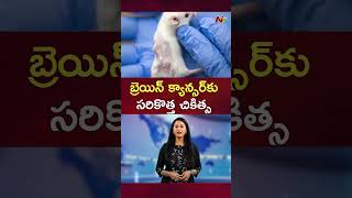 బ్రెయిన్‌ క్యాన్సర్‌కు సరికొత్త చికిత్స.. | New Treatment for Brain Cancer | Ntv