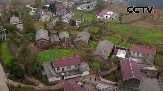 百村脱贫记 四川凉山阿支吾村：住房 道路 产业 逐一解决脱贫难题 |《中国新闻》CCTV中文国际