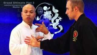 Tai Chi Combat -Grand Ultimate Fist 2  Lesson 8