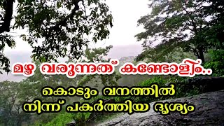 Rain rain come again... kerala rain in forest | മഴ പെയ്യുന്ന മനോഹരമായ കാഴ്ച | Mannarkkad