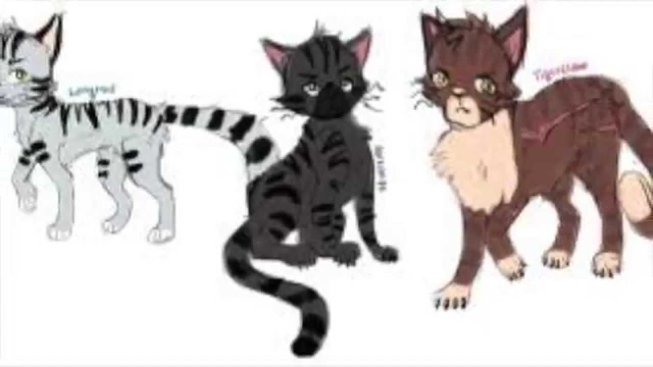 Tigerstar Darkstripe Longtail Animash Pmv I Knew You Were Trouble