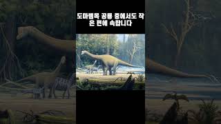 지구 일류최초의 생명체 #shorts #쇼츠 #공룡 #생명체 #지구 #과학 #점심