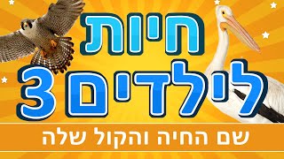 חיות לילדים 3 | קולות של חיות