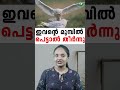 മനുഷ്യരെ ഇരയാക്കുന്ന മഞ്ഞ് മൂങ്ങകൾ majestic snow owl in action