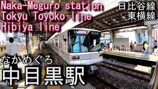 【日比谷線・東横線】中目黒駅を歩いてみた Naka-Meguro station Hibiya line and Tokyu Toyoko line