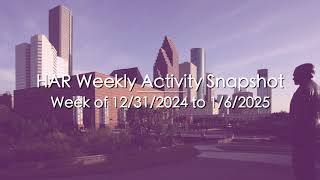 Weekly Activity Snapshot  - 12/31/2024 to 1/6/2025