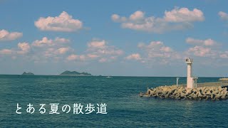 巣ごもりねむし / とある夏の散歩道