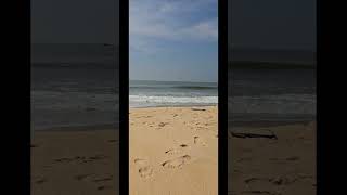 Sagar sang kinare hai ⛱️  #shortsfeed #ytshorts #beach #beachmusic #melody #nature