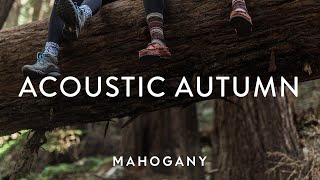 Acoustic Autumn 🍁 Folk Compilation | Mahogany Playlist