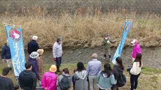 遠賀川鮭の稚魚放流建花寺川